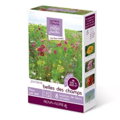 Jachère Belles Des Champs