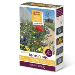 Jachère Terrain Sec