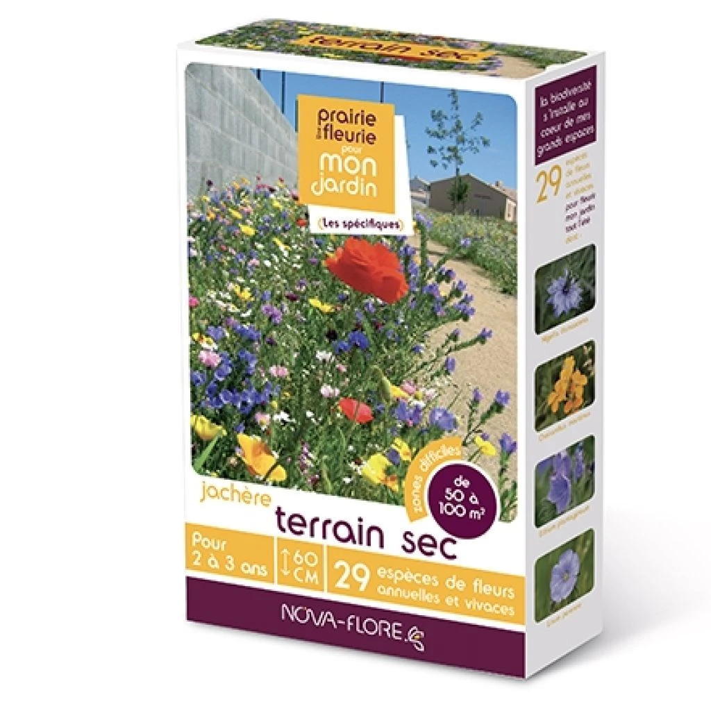 Jachère Terrain Sec 1 Jachère Terrain Sec