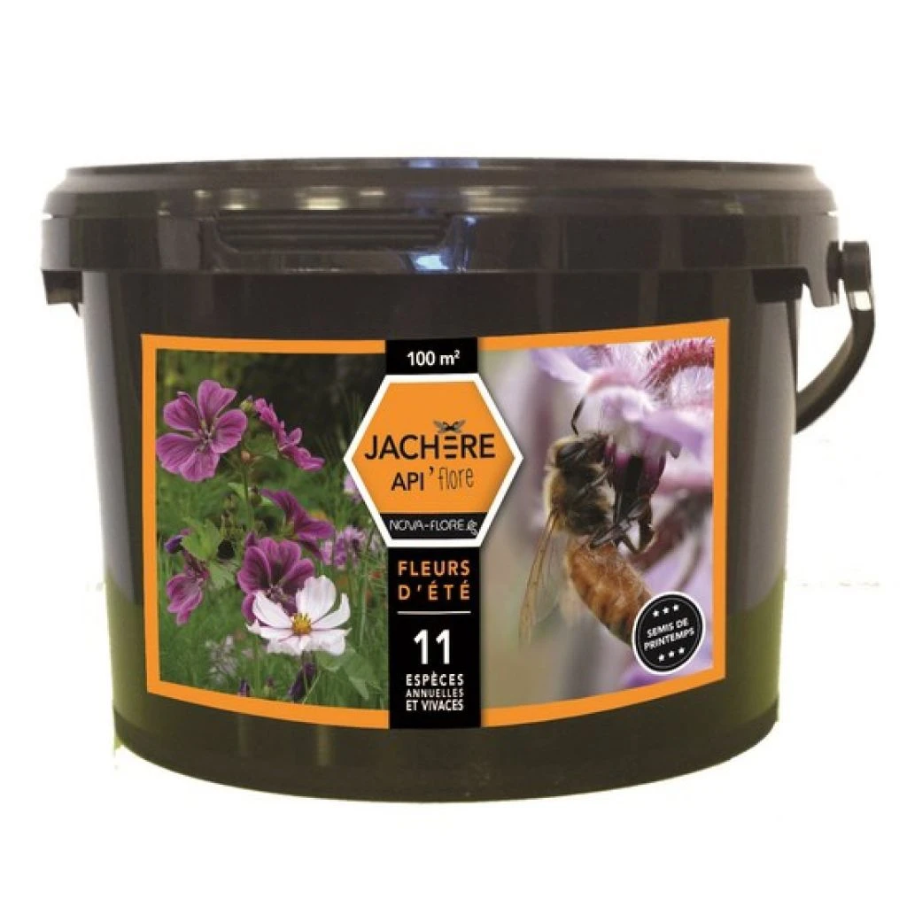Jachère Mellifère Fleurs D'été 1 Jachère Mellifère Fleurs D'été